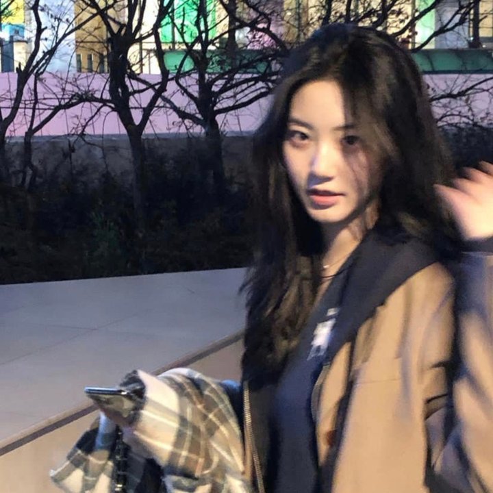 家族的色彩